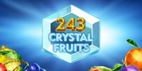 243 Crystal Fruits