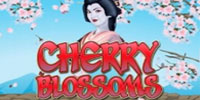 Cherry Blossoms