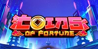 Coins of Fortune