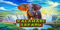 Kalahari Safari