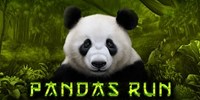 Pandas Run