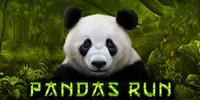 Pandas Run