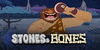 Stones and Bones